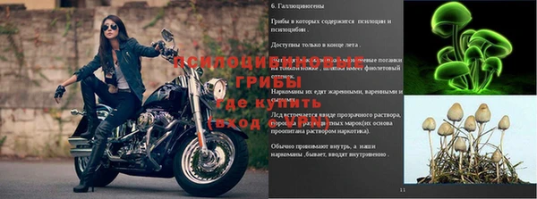 ALPHA PVP Баксан