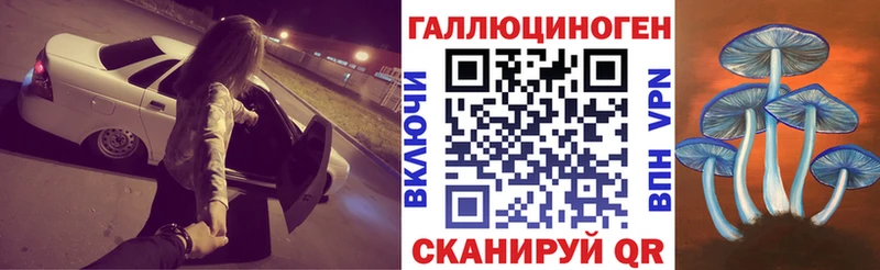 Галлюциногенные грибы MAGIC MUSHROOMS  Купить закладки  Нестеров 